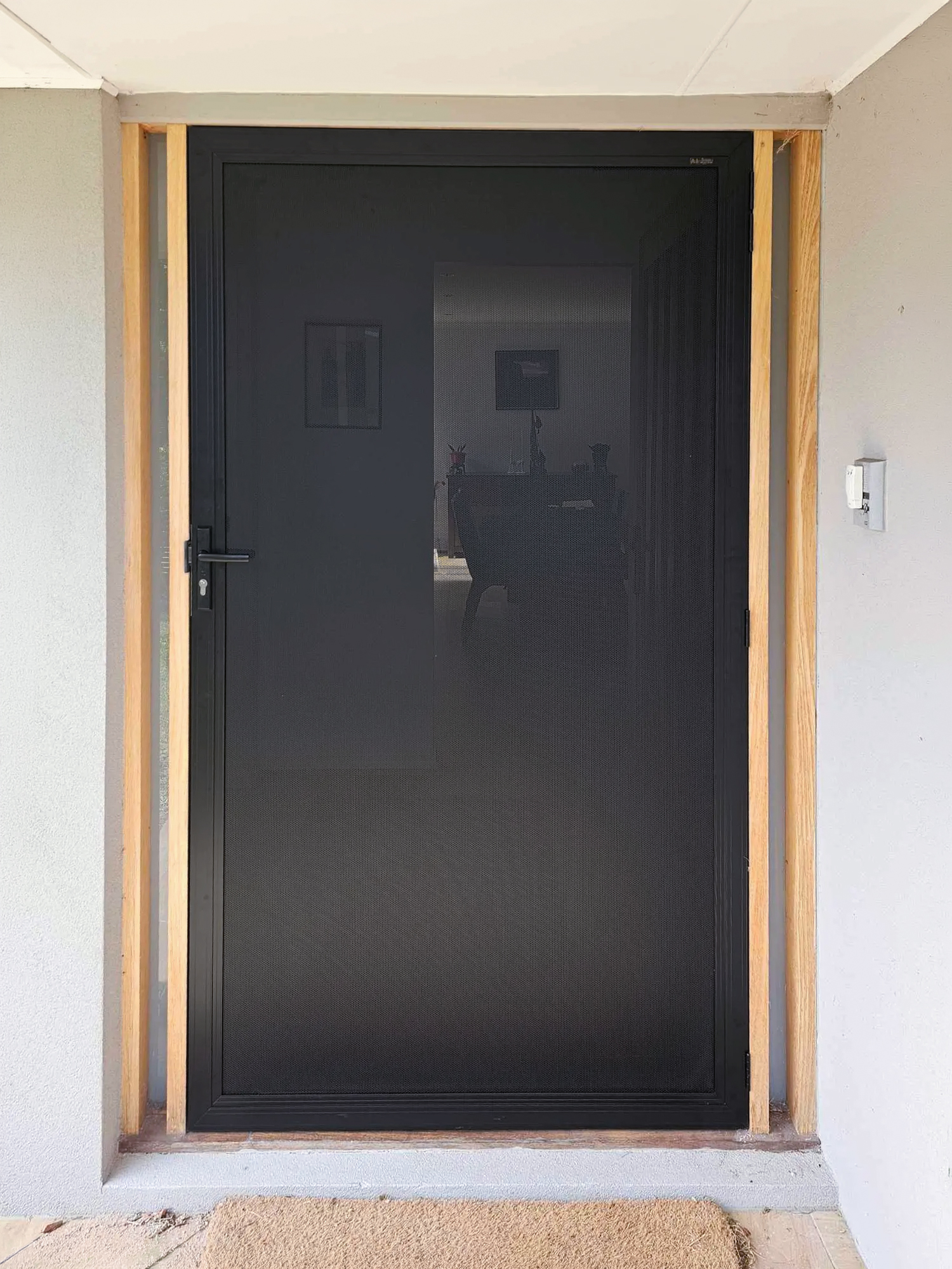 mesh security door